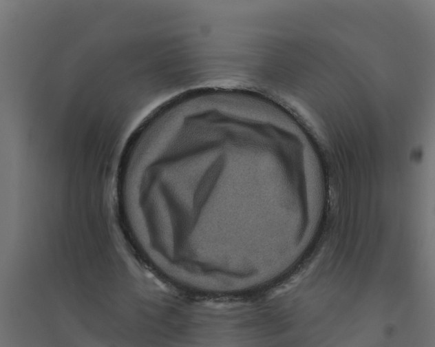 X0000094190532200711241617