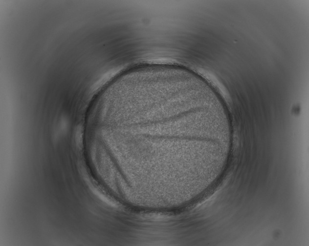 X0000094190533200711241617