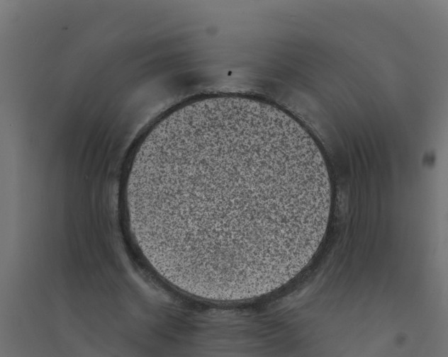 X0000094190534200711241617