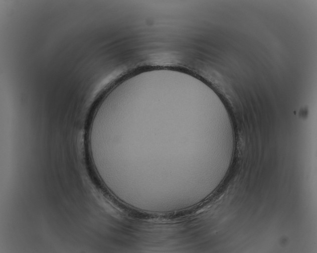 X0000094190535200711241617