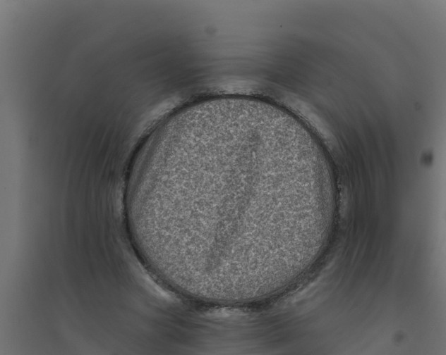 X0000094190537200711241617