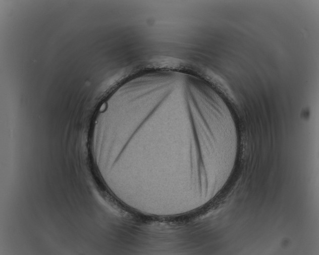 X0000094190538200711241617
