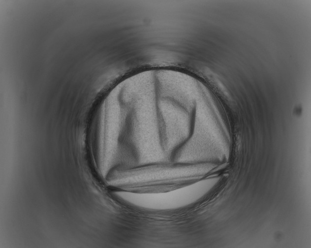 X0000094190539200711241617