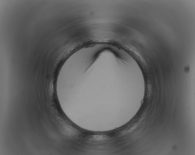 X0000094190541200711241617