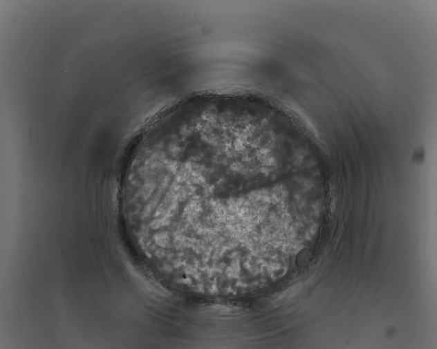 X0000094190542200711241617