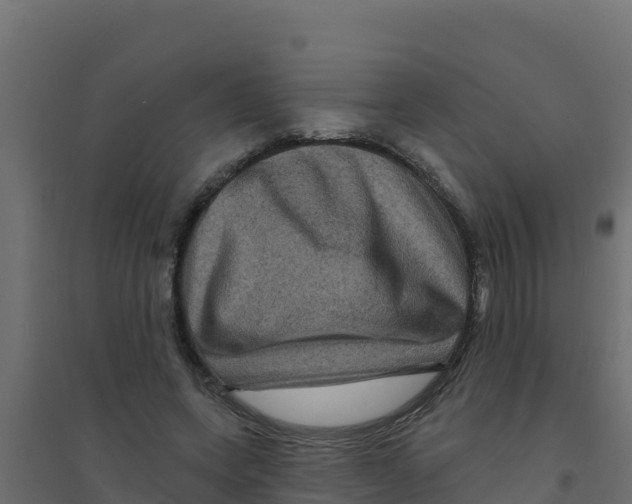 X0000094190543200711241617