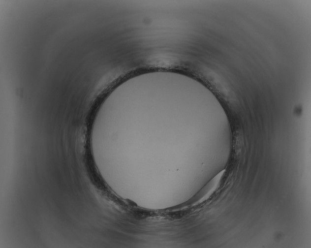X0000094190544200711241617