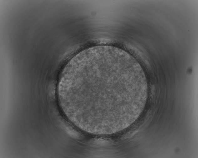 X0000094190545200711241617