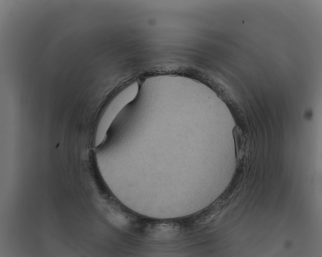 X0000094190546200711241617