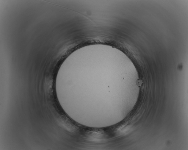 X0000094190548200711241617