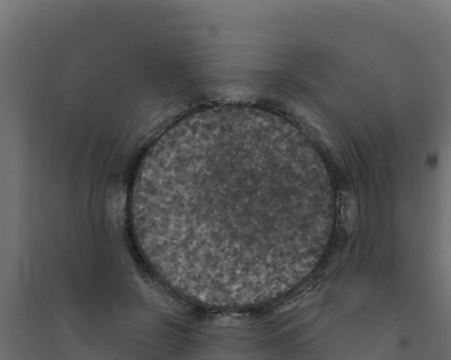 X0000094190550200711241617