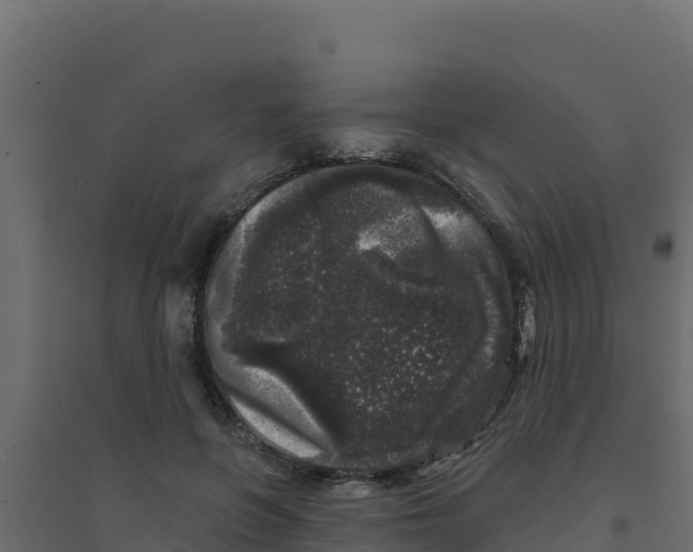 X0000094190551200711241617