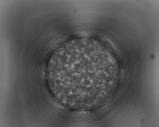 X0000094190553200711241617