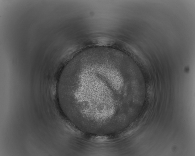 X0000094190554200711241617
