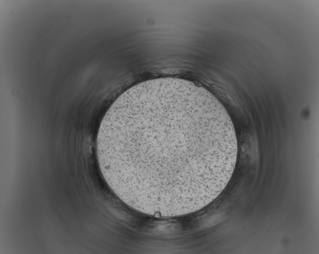 X0000094190555200711241617