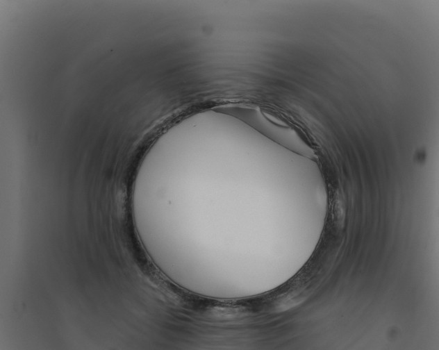 X0000094190556200711241617