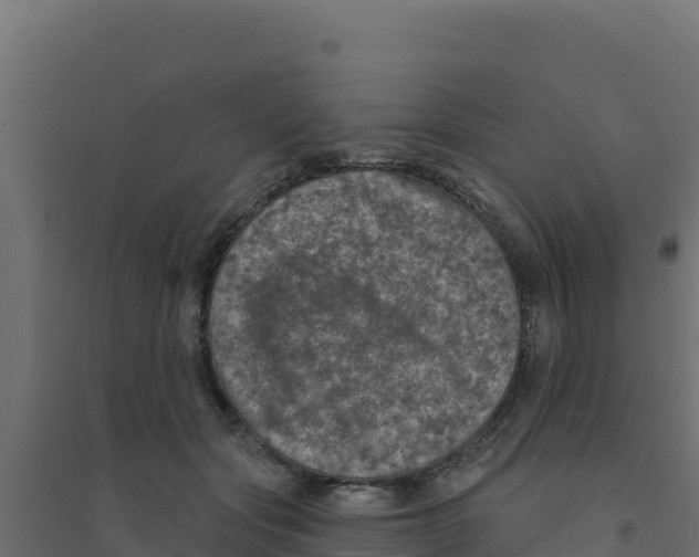X0000094190557200711241617