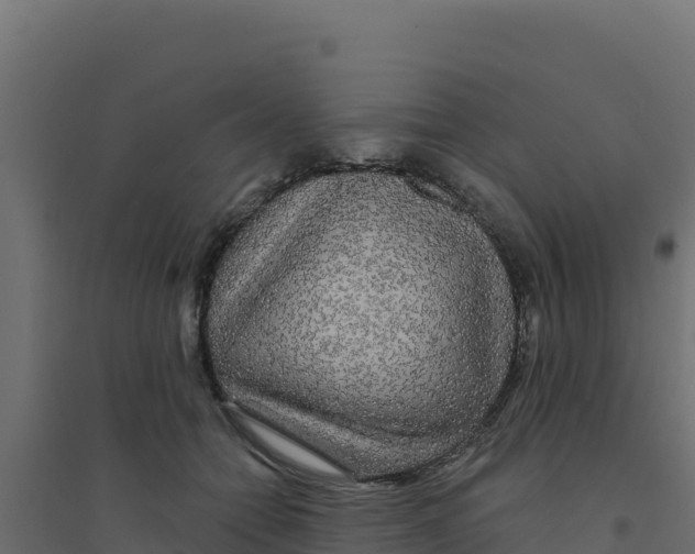 X0000094190558200711241617