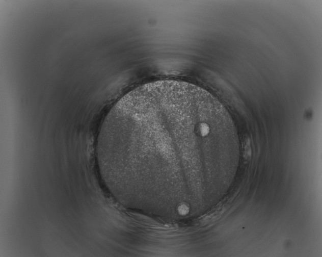 X0000094190559200711241617