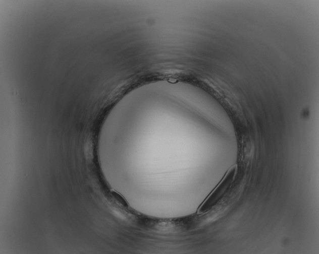 X0000094190562200711241618