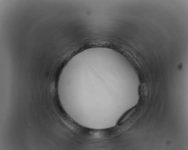 X0000094190564200711241618