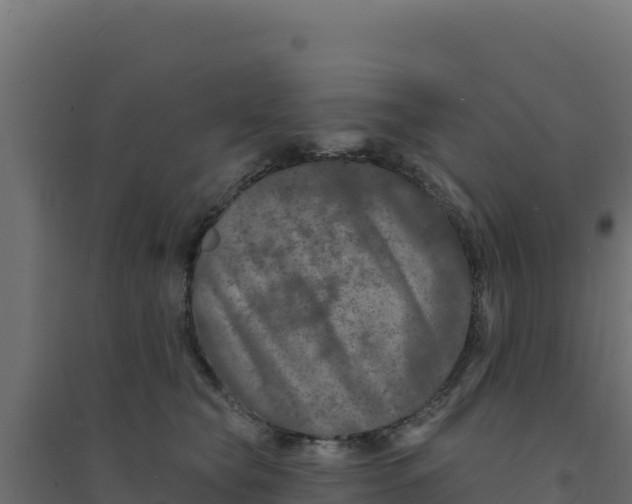 X0000094190565200711241618