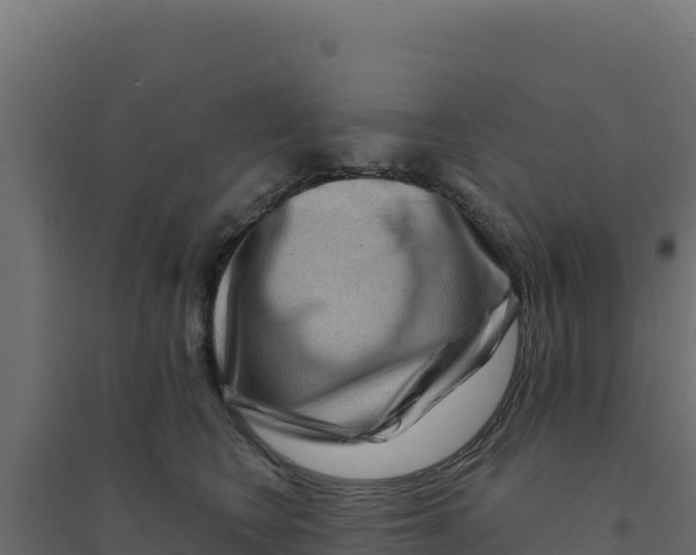 X0000094190566200711241618
