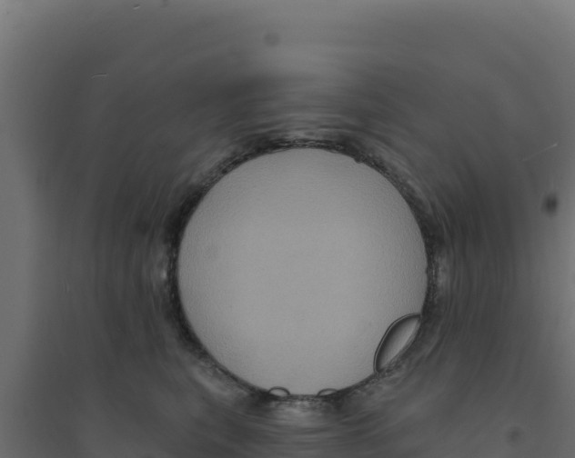 X0000094190567200711241618