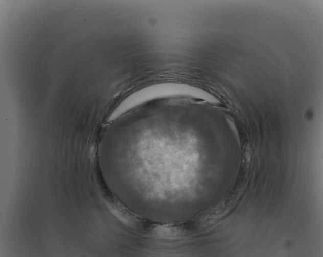 X0000094190568200711241618