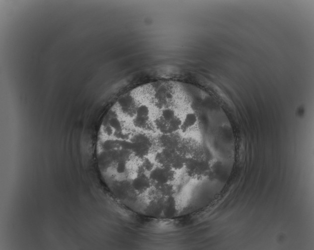 X0000094190569200711241618