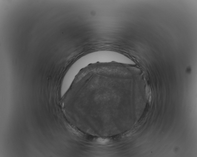 X0000094190570200711241618