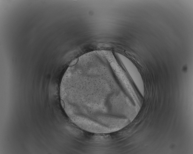 X0000094190571200711241618