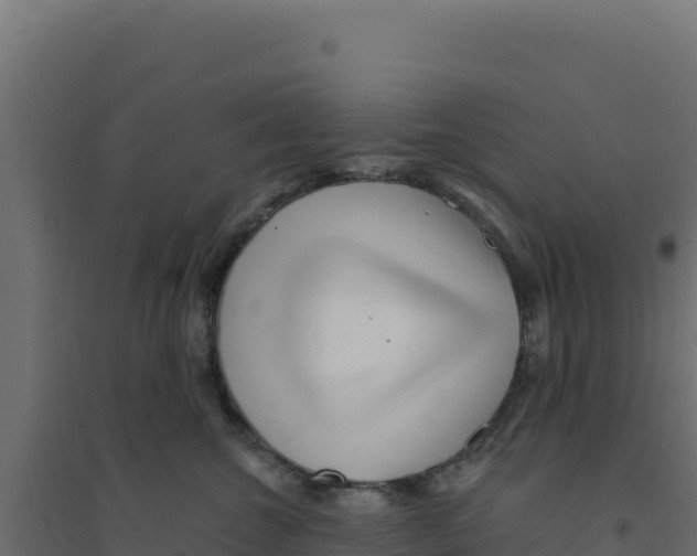 X0000094190572200711241618