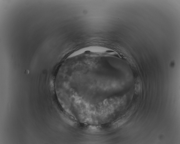 X0000094190573200711241618