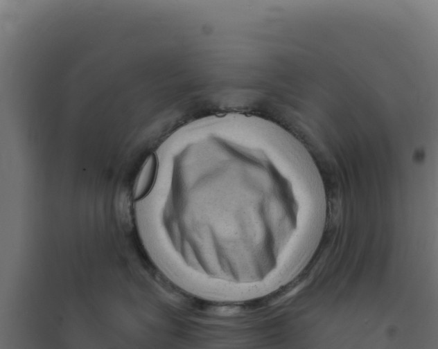 X0000094190575200711241618