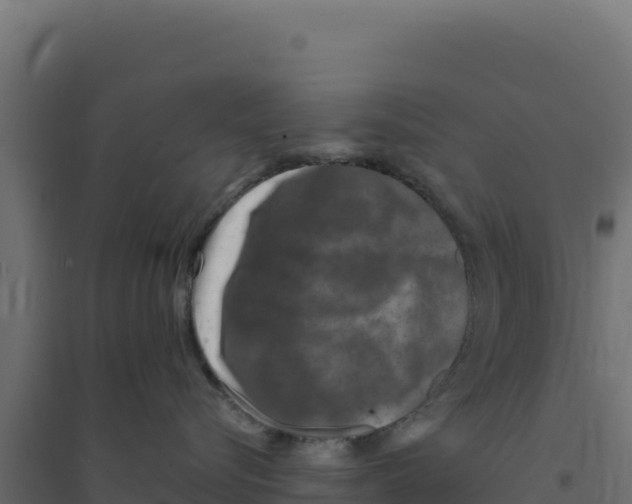 X0000094190576200711241618