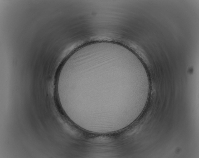 X0000094190578200711241617