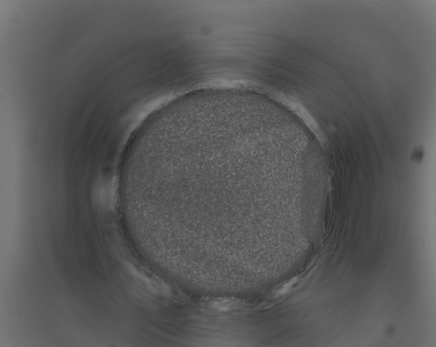 X0000094190579200711241617