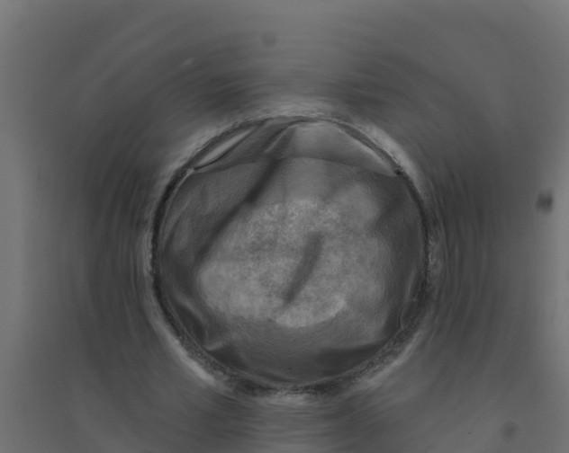 X0000094190581200711241617