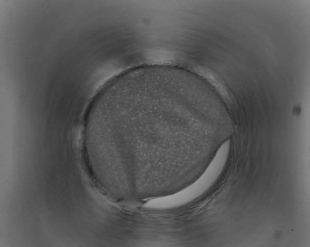 X0000094190583200711241617