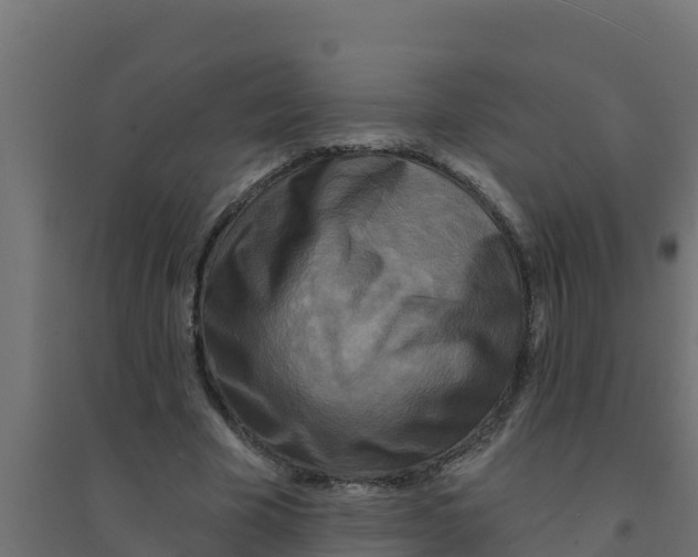 X0000094190585200711241617
