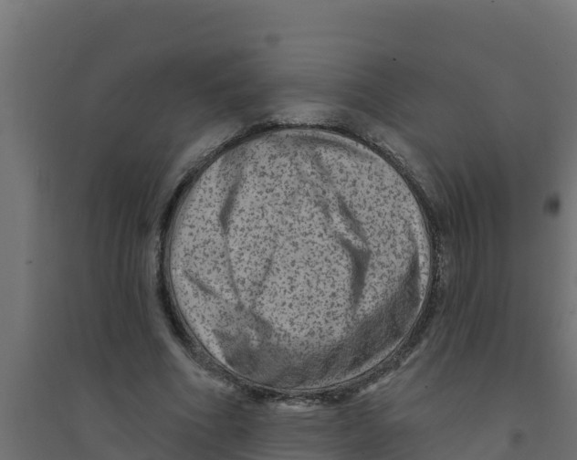 X0000094190586200711241617