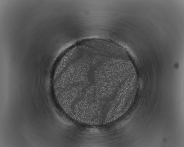 X0000094190588200711241617