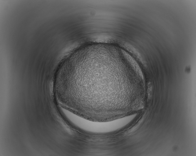 X0000094190589200711241617