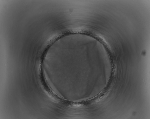 X0000094190590200711241617
