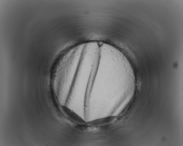 X0000094190591200711241617