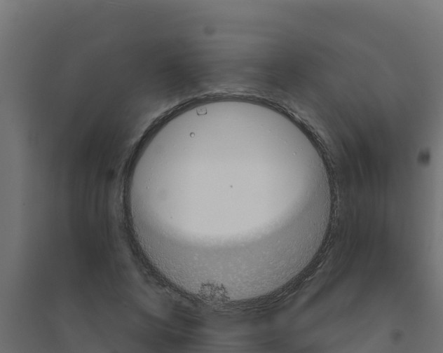 X0000094190592200711241617