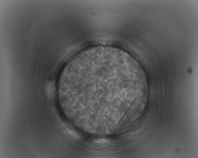 X0000094190594200711241617