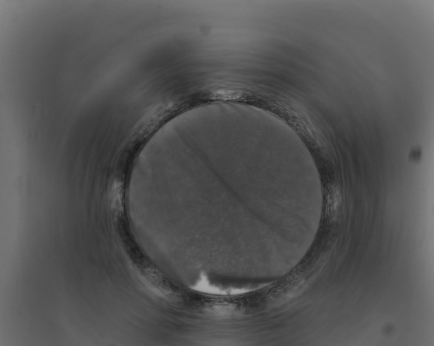 X0000094190598200711241617