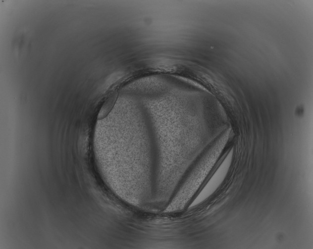 X0000094190600200711241617